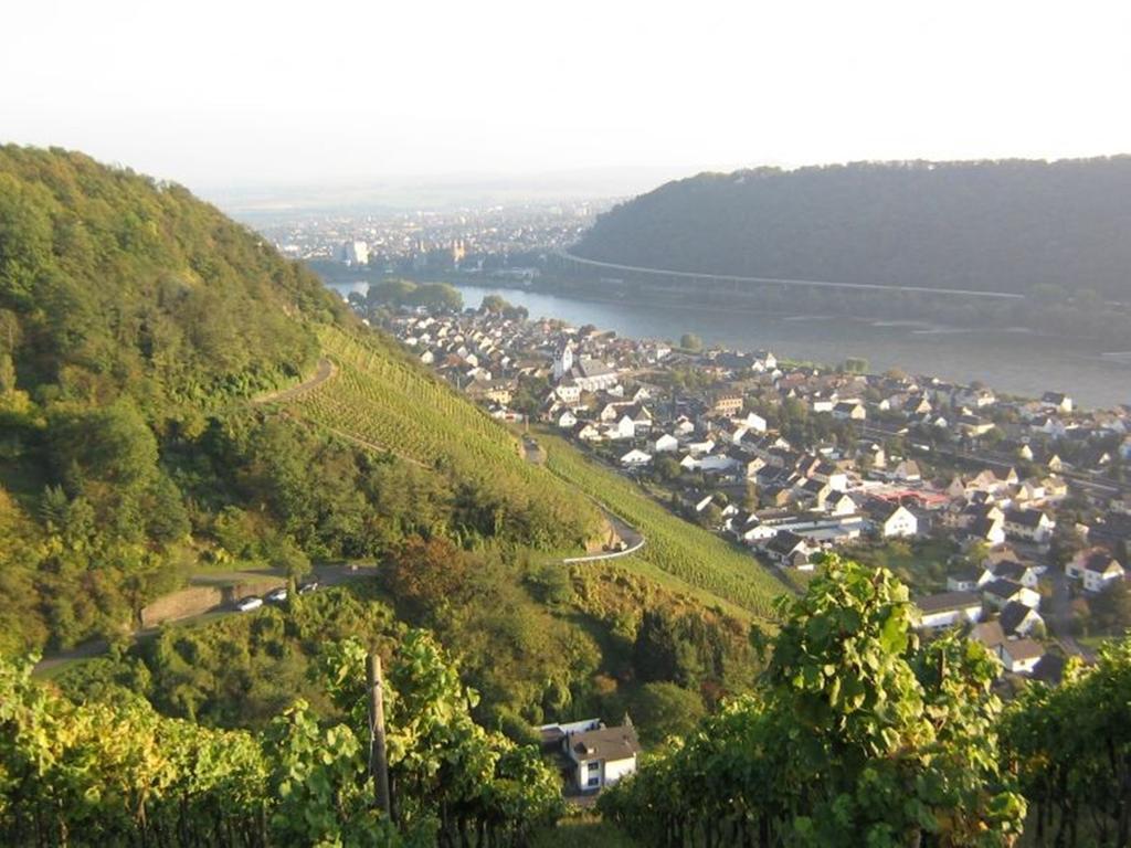 Hotel Am Martinsberg Andernach Buitenkant foto